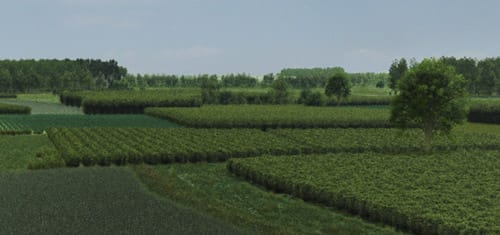 10_Landschaftsveraenderung.jpg