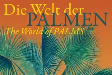 Palmenausstellung.jpg