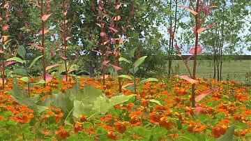 Sanssouci_Bild2.jpg